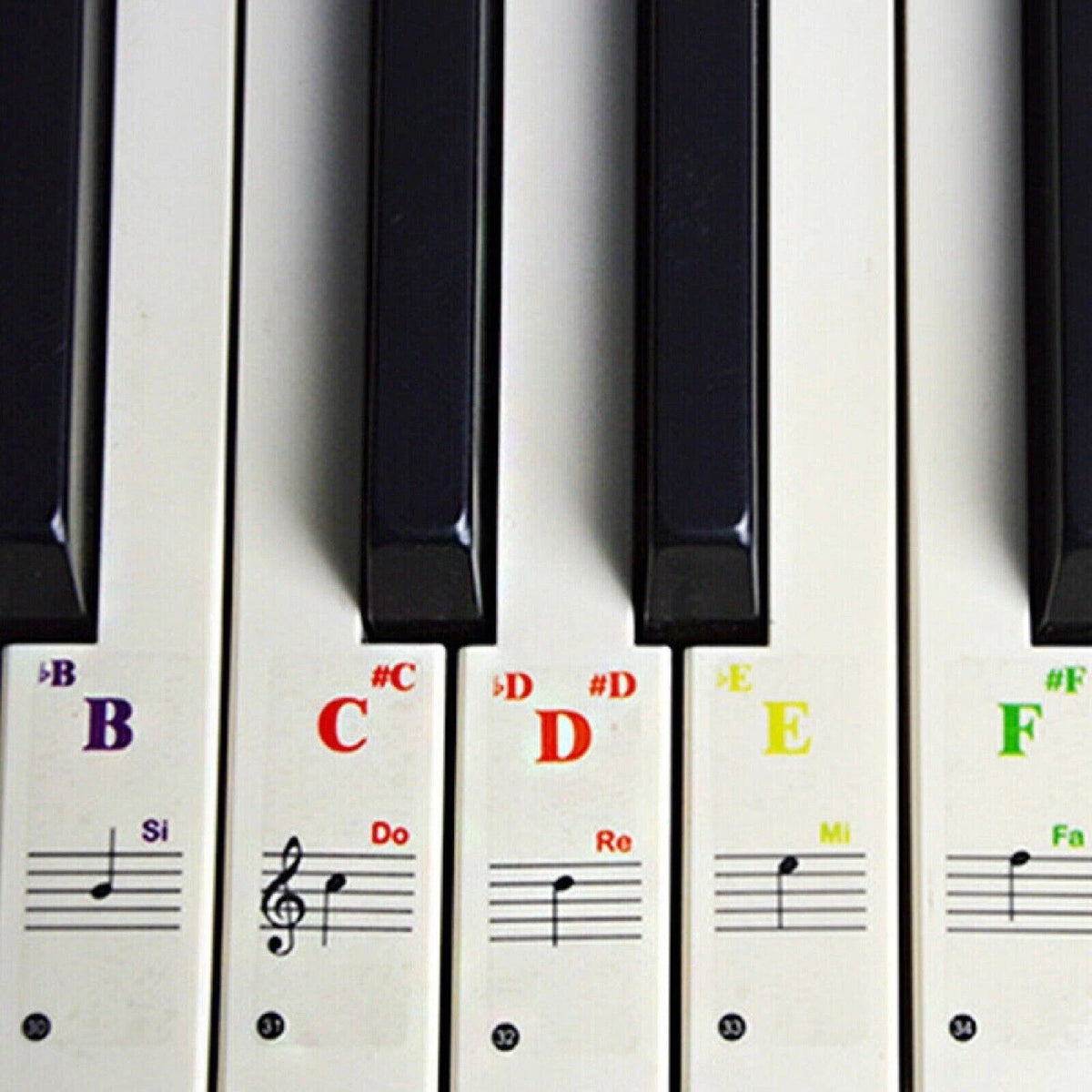 37/49/61/88 Key Universal Piano Learning Music Keyboard Sticker Note Removable