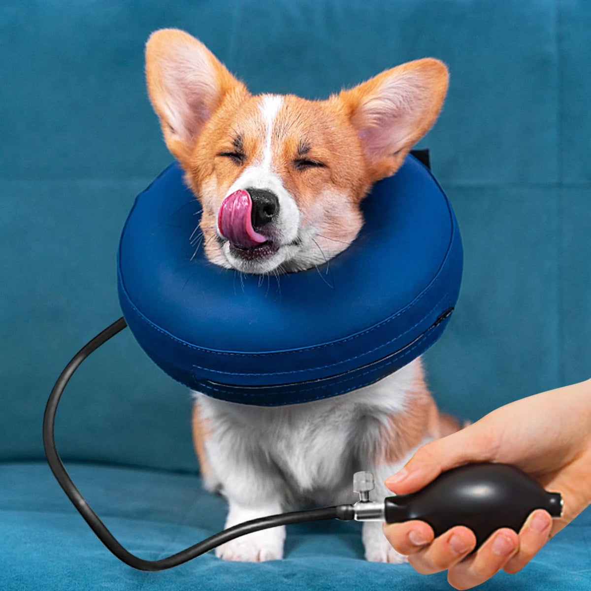 Lamoutor 3Pcs Blood Pressure Latex Bulb Replacement 3 Count (Pack of 1)