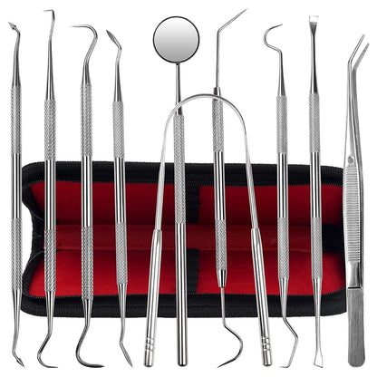 Dental Kit Tools, 10 Pack Stainless Steel Plaque Remover, Tools to...