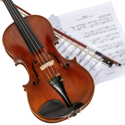 MI&VI NB-510 Brazilwood Violin Bow 4/4 (Full Size) with 4/4, silver