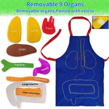 BOCZIF 3D Organ Apron, Human Body Organs Apron Awareness Educational Tool...