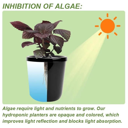 Kratky Method Hydroponic Planter Kit, 8 Plus 24 Black