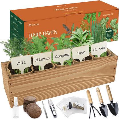 5 Herb Garden Planter Indoor with Wooden Box, Home Kitchen Seed B-Herb