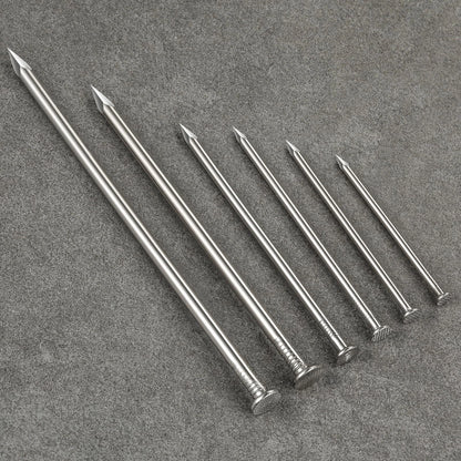 Wensilon 430pcs Stainless Steel 304 Nails Kit, Hanging Ss