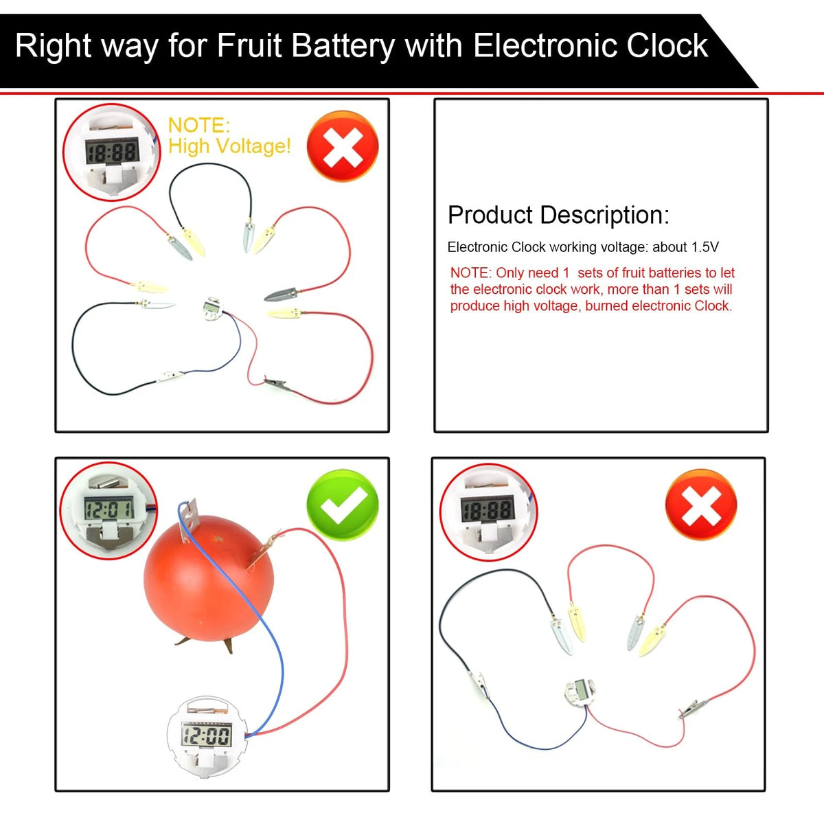 EUDAX Fruit Battery Science Experiment Kit with Electronic Clock and Small