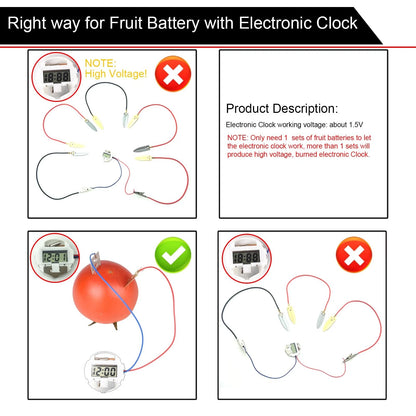 EUDAX Fruit Battery Science Experiment Kit with Electronic Clock and Small