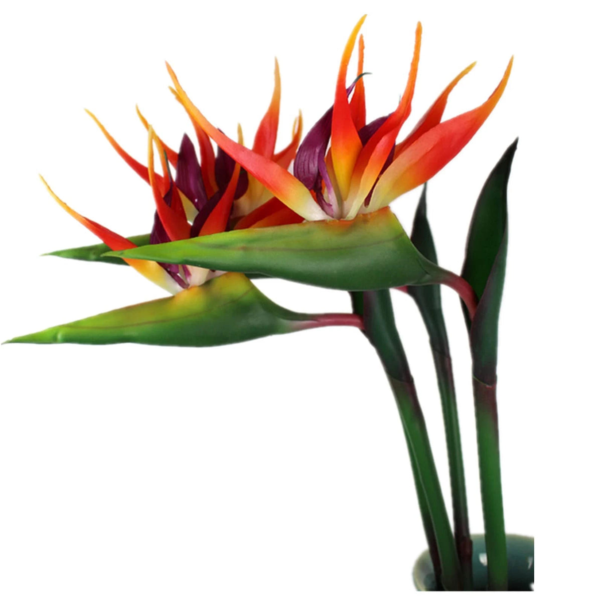 3 Pcs Large Bird of Paradise 32 Inch Permanent Flower,UV 32in, Orange and Red