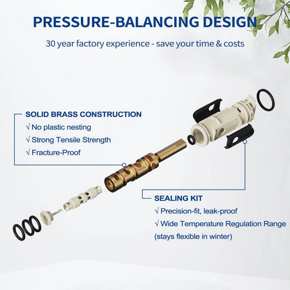 1222/1222B Cartridge Pressure Balancing with 104421 Removal Tool Chrome