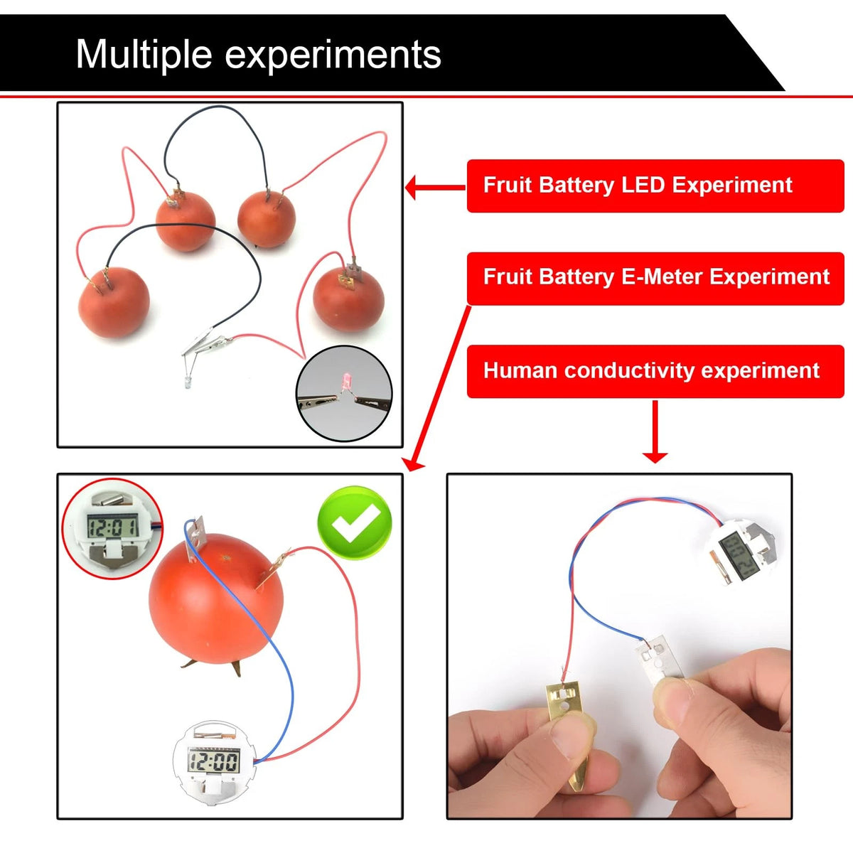 EUDAX Fruit Battery Science Experiment Kit with Electronic Clock and Small