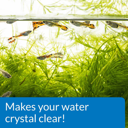API ACCU-CLEAR Freshwater Aquarium Water Clarifier 8-Ounce 8-Ounce, Clear