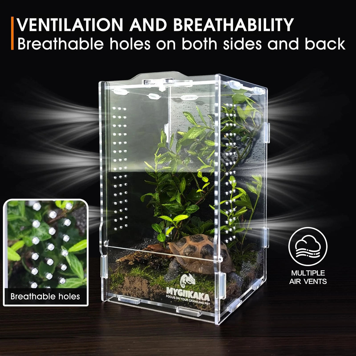 Acrylic Jumping Spider Habitat, Insect Terrarium, Bug Small, Transparent