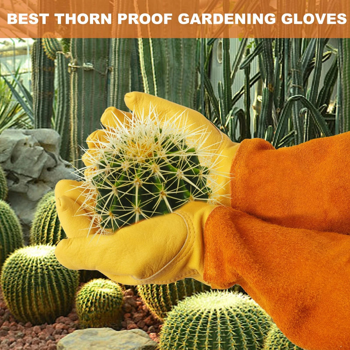 SLARMOR Long Gardening-Gloves Women/Men-Thorn Medium (Pack of 1), Yellow