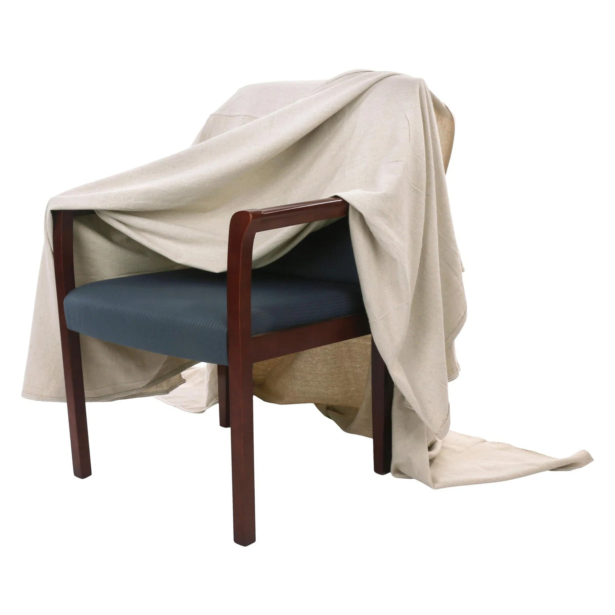 EZ Drop Painter's Large Canvas Fabric Cloth for 20 ft. x 20 ft., Natural
