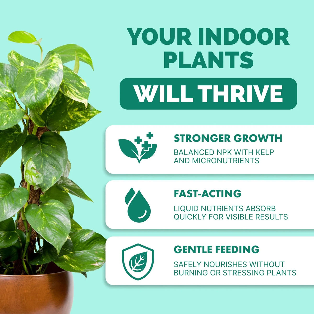 Indoor Plant Food - Liquid Fertilizer for Plants & 8 oz (1/2 Pint)