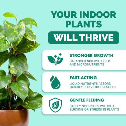 Indoor Plant Food - Liquid Fertilizer for Plants & 8 oz (1/2 Pint)
