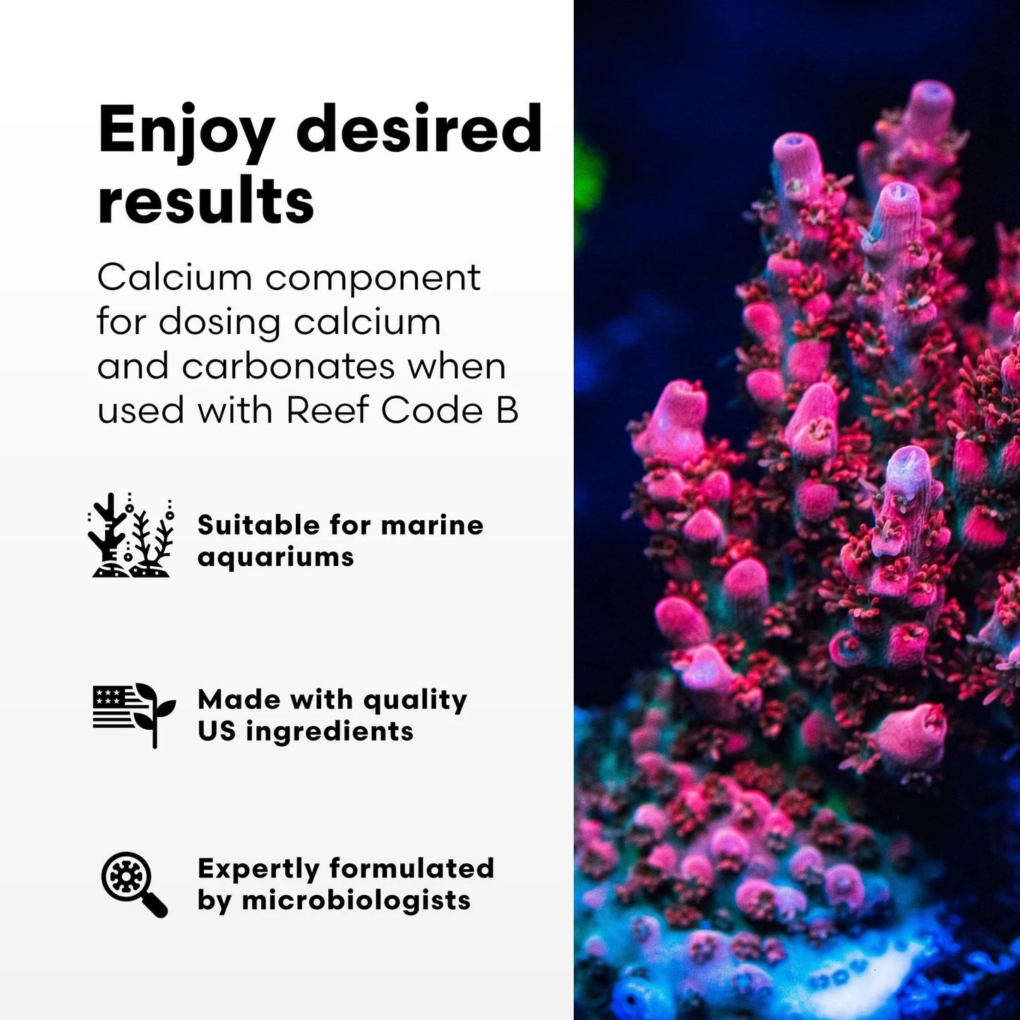Brightwell Aquatics - Reef Code A - Balanced Calcium & Alkalinity System 1-L