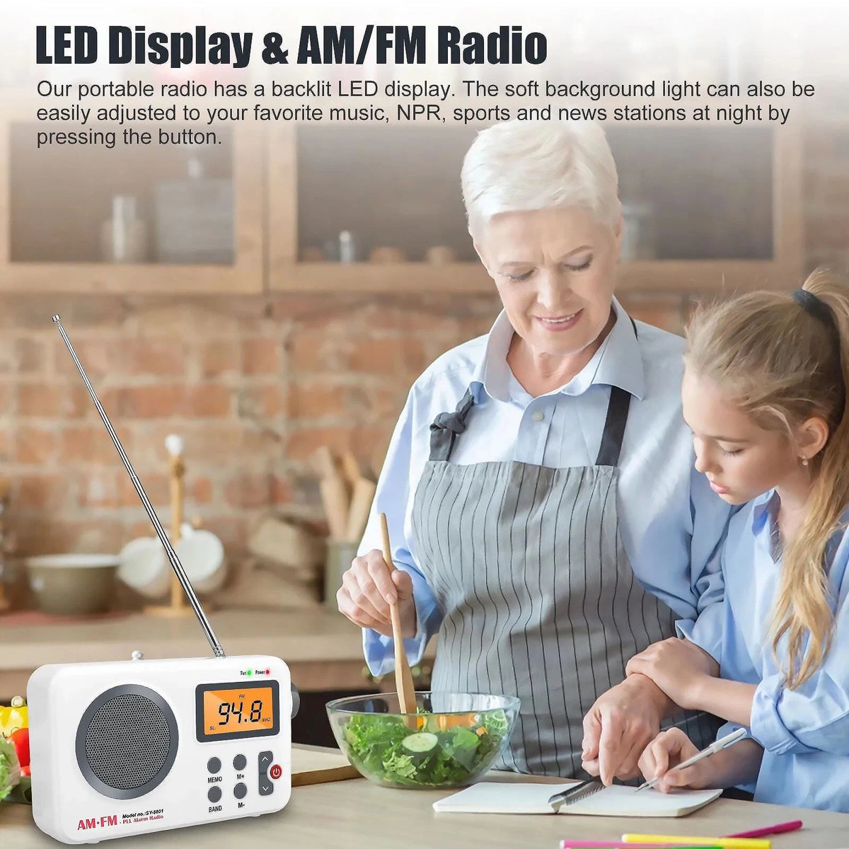 Portable AM/FM PLL Alarm Radio Support Smart Preset Feature SY-8801