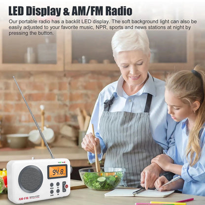 Portable AM/FM PLL Alarm Radio Support Smart Preset Feature SY-8801