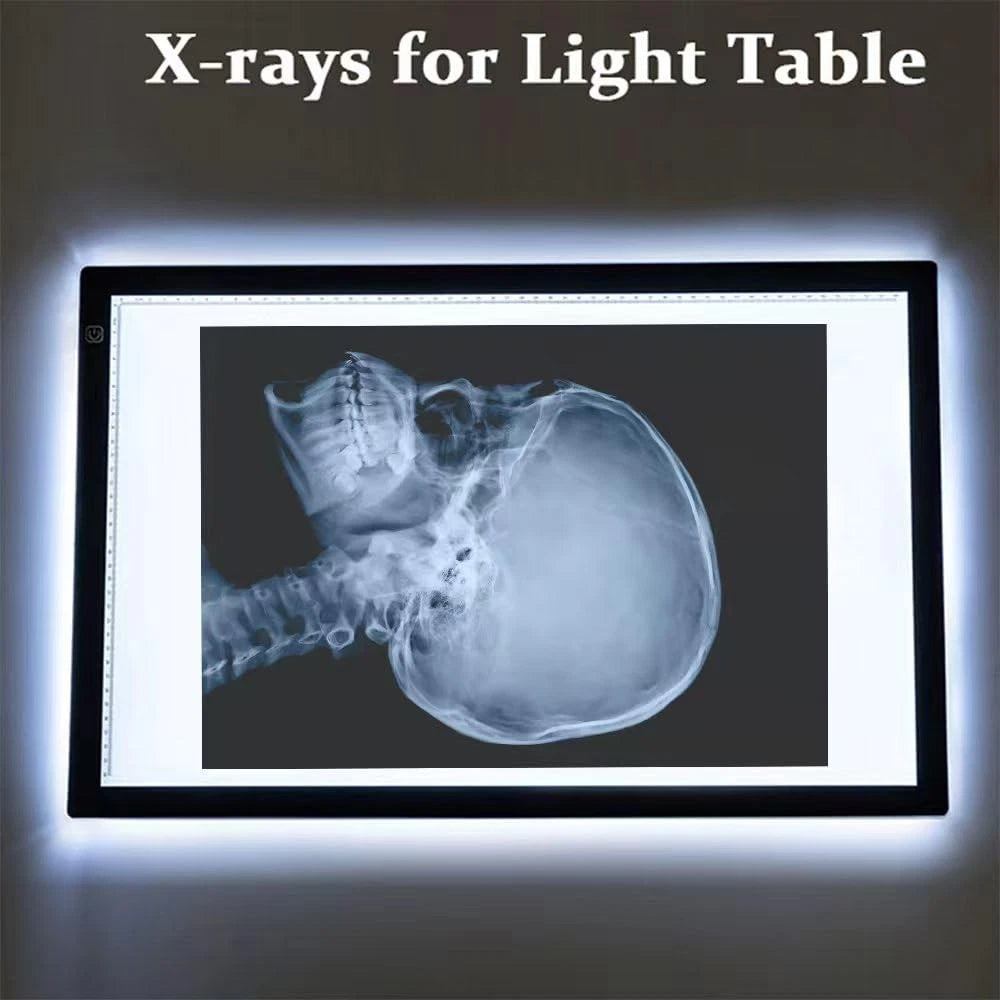X-ray Science Education Package for Human Anatomy 8.3 inches by 11.7
