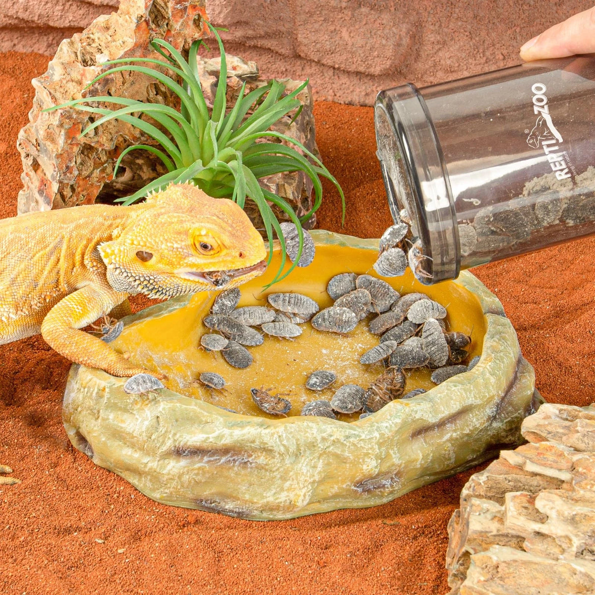 REPTI ZOO Reptile Cricket Calcium Powder Mixer, Keeper Shaker for...