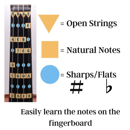 Fantastic Finger Guide for Violins Kids/Adult Beginner | 1/2, multi-color