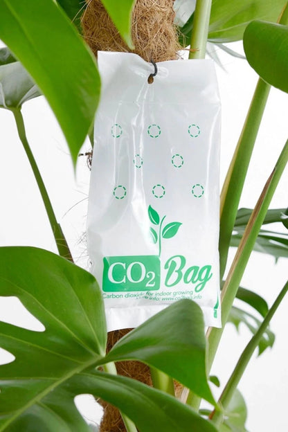 CO2BAG® M – Natural CO₂ Generator for Indoor Plants & Greenhouses | Boosts...