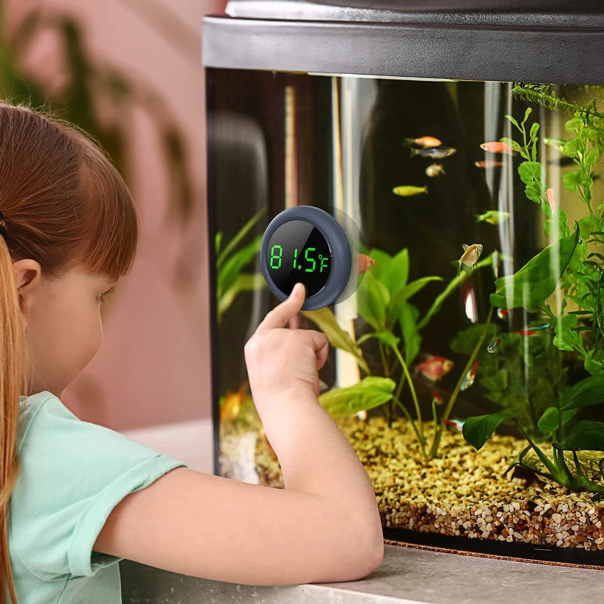 PAIZOO Fish Tank Digital Thermometer Accurate LED Display to Small, Black