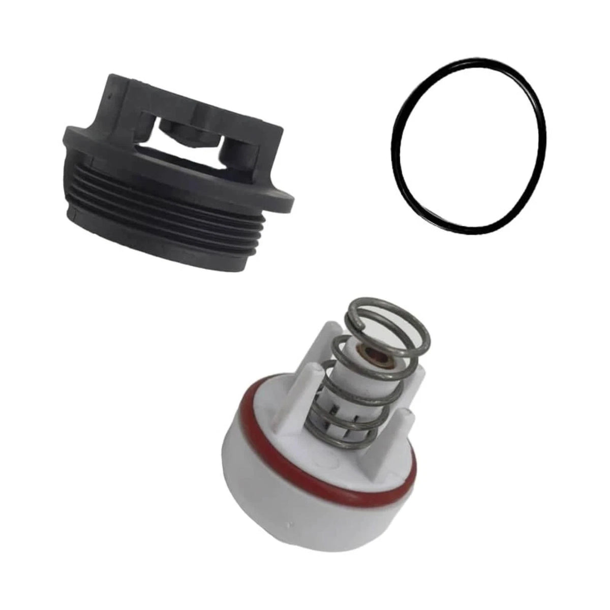 0887726 Backflow Valve PVB Repair Kit 3/4" & 1/2" 800M4-FR /w Bonnet & O-Ring