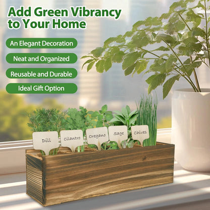 5 Herb Garden Planter Indoor with Wooden Box, Home Kitchen Seed B-Herb