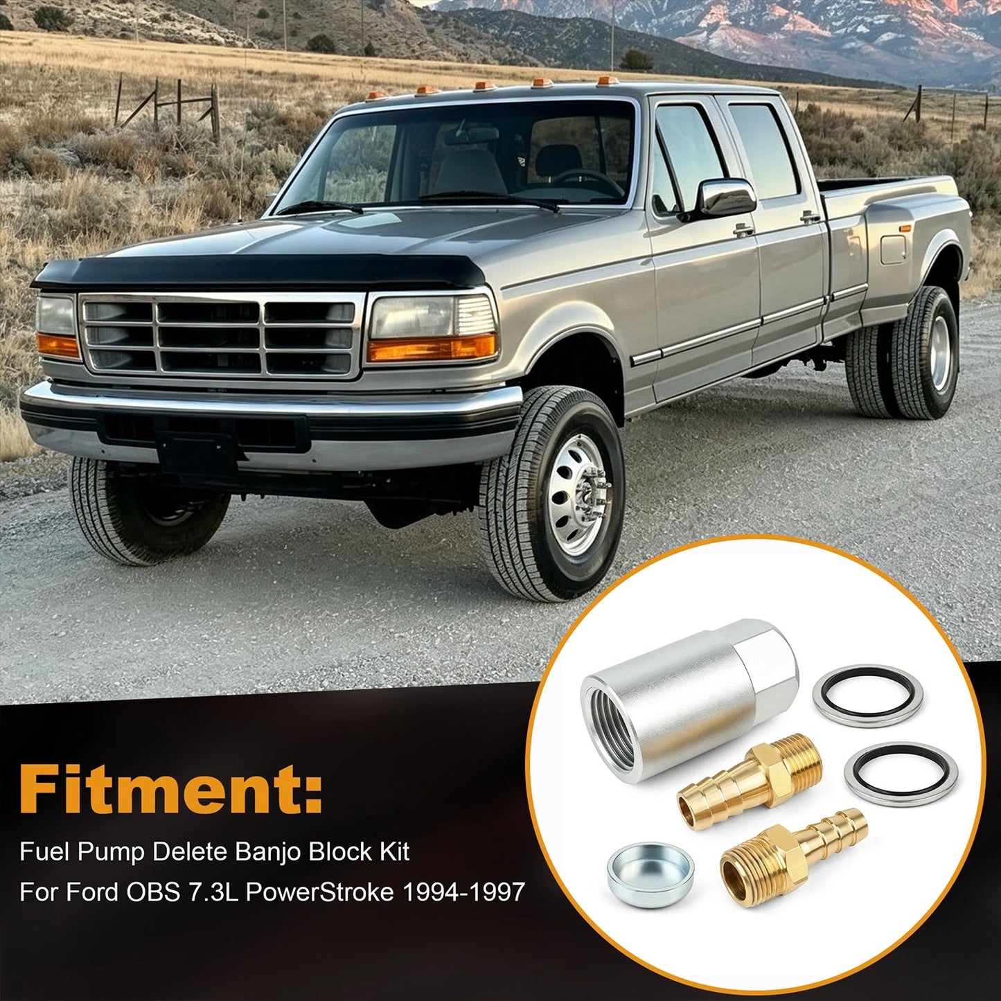 Diesel to Electric Fuel Pump Conversion Kit For Ford OBS 7.3L PowerStroke 94-97