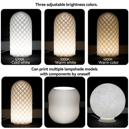 BambooSegD 5PCS LED Lamp Kit 001 Three Colors for 5 PCS 001