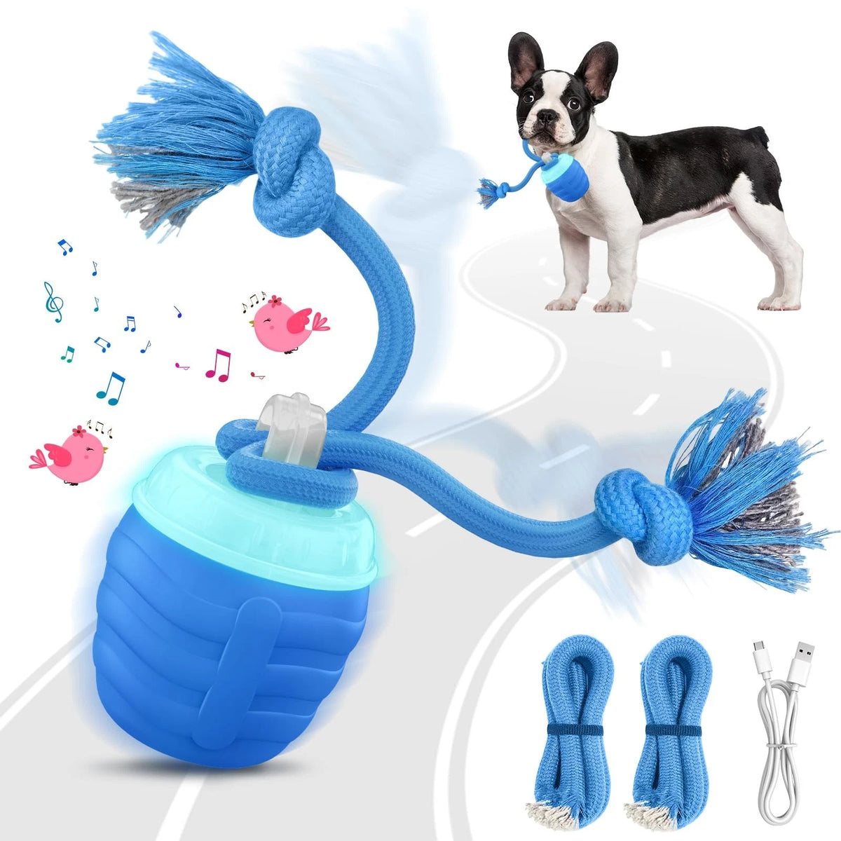 HVUATQ Interactive Dog Toys - 2026 Upgraded Motion Activated Balls for Blue
