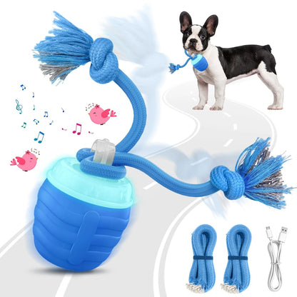 HVUATQ Interactive Dog Toys - 2026 Upgraded Motion Activated Balls for Blue