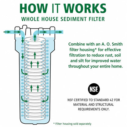 A. O. Smith 2.5"x10" 5-Micron 2 Count (Pack of 1), Sediment
