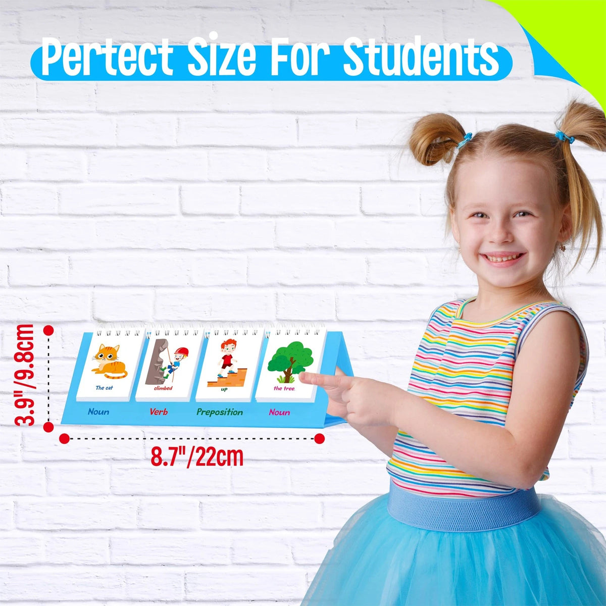 Sentence Flip Charts, 80 Double Sided Cards 40 5.31 inches x 8.66