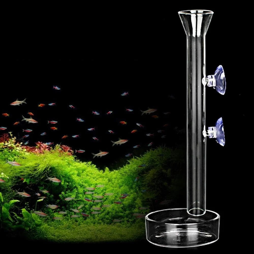 Shrimp Feeding Tube and Dish,Clear Crystal Glass 12“, clear