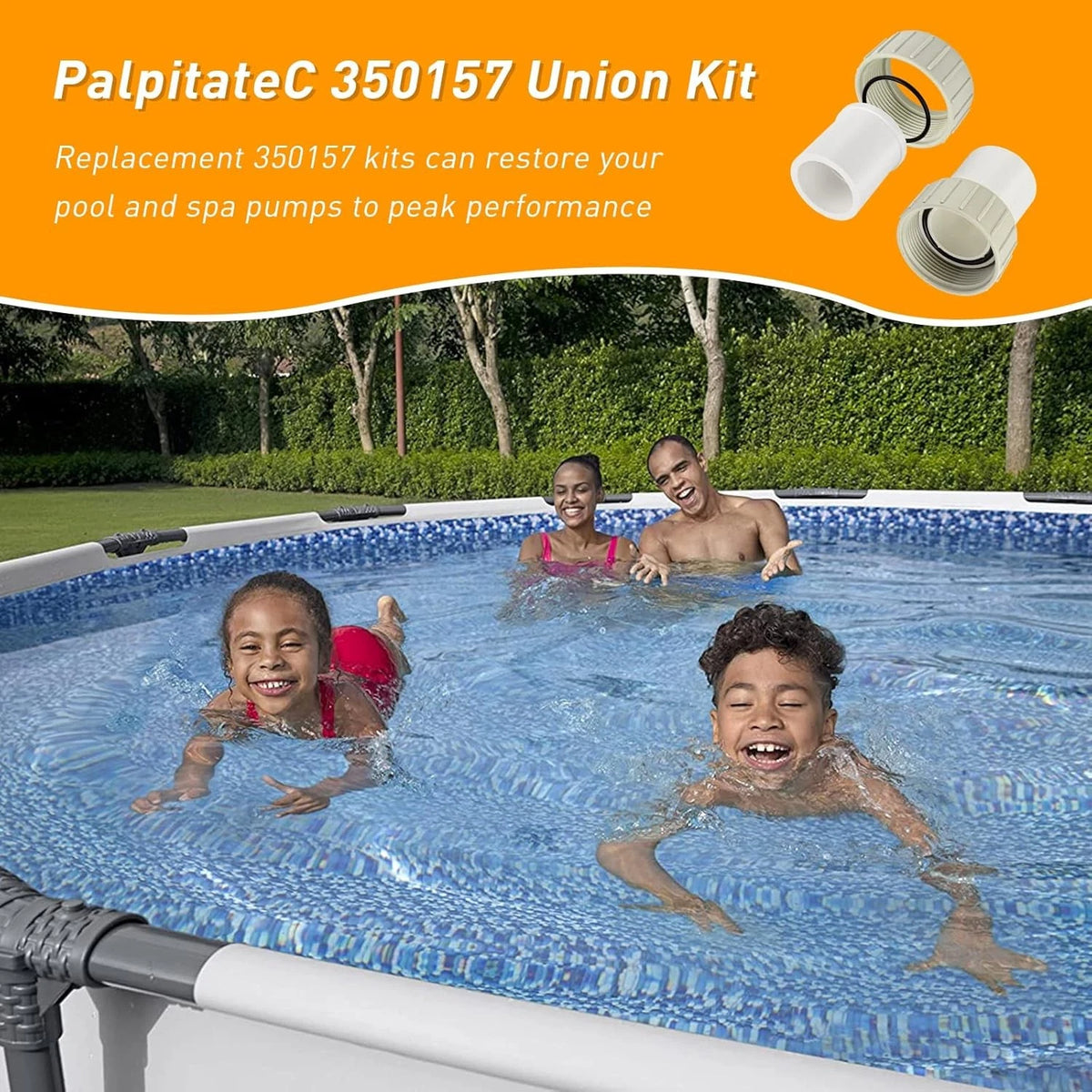 PalpitateC 350157 Union Kit Replacement fits Pentair Superflo Variable Speed...