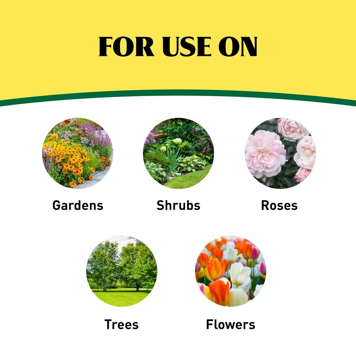 Ironite Plus Shrubs, Trees Plant Food Bag Granular 12-10-10 3lb 3lb, Natural