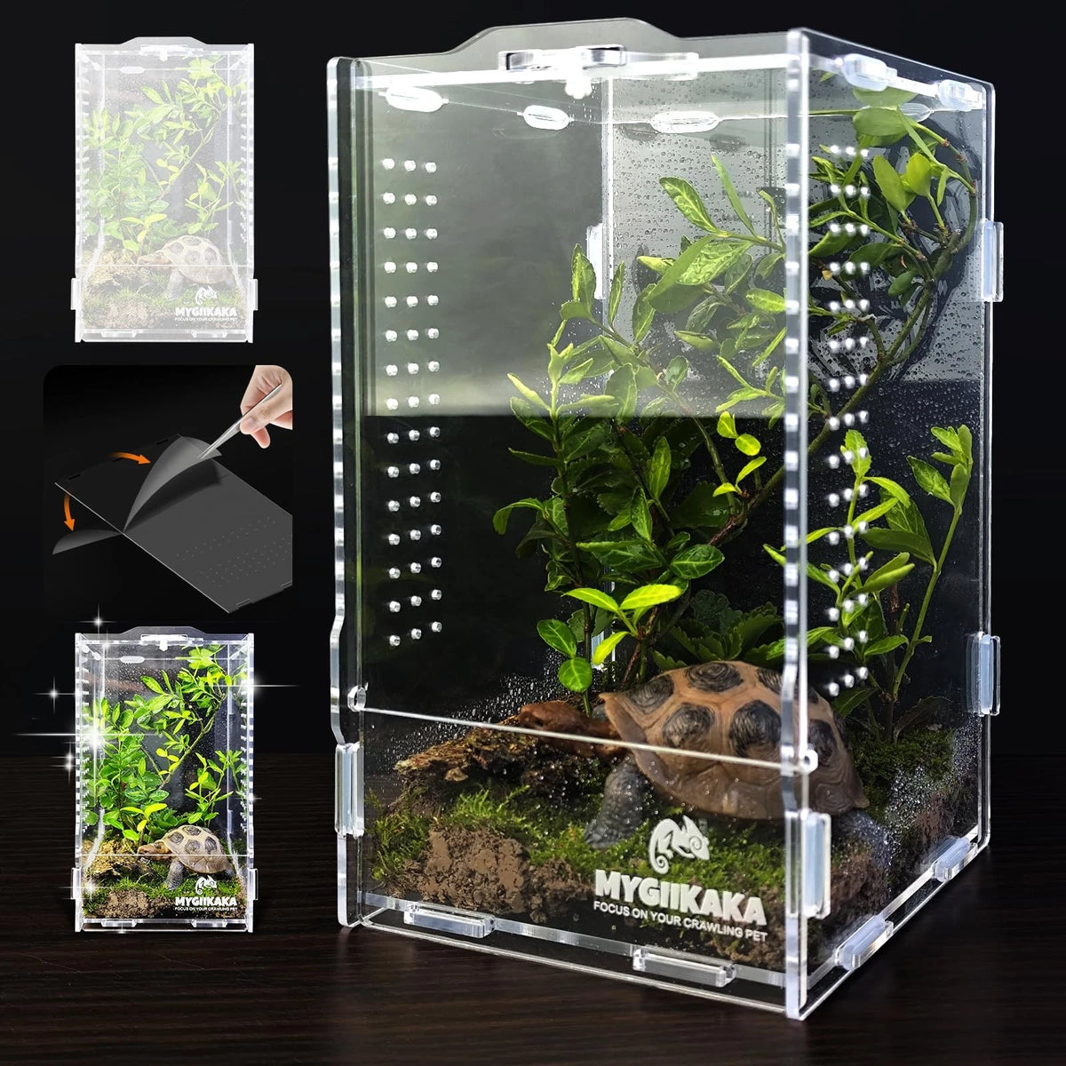 Acrylic Jumping Spider Habitat, Insect Terrarium, Bug Small, Transparent
