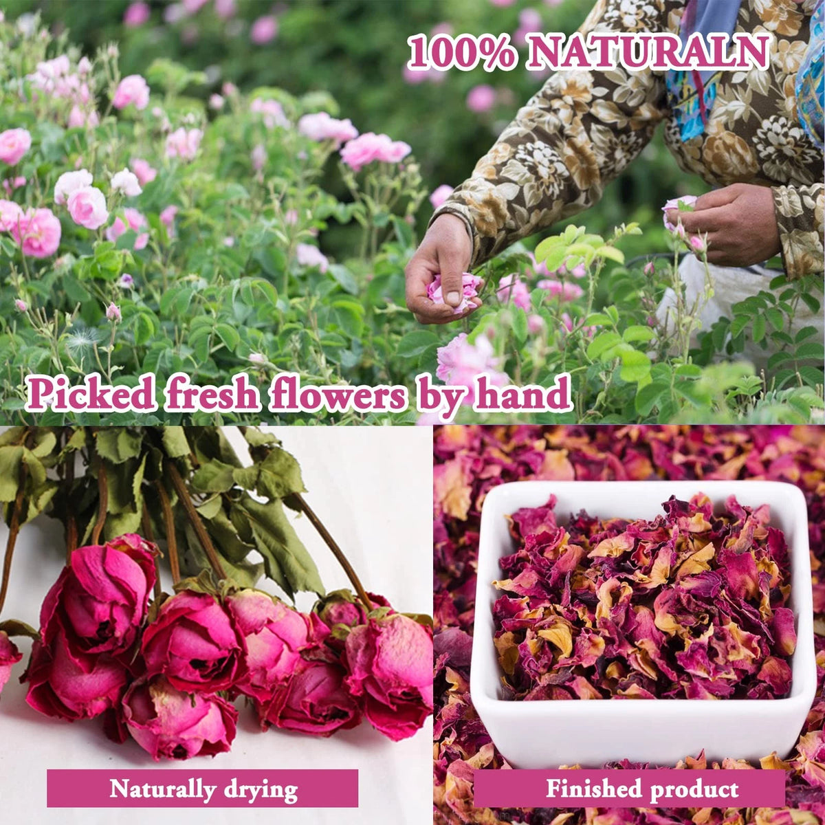 SACATR Dried Flowers, 50 Bags  Natural 50 bags*10g, 50 Bags*10g