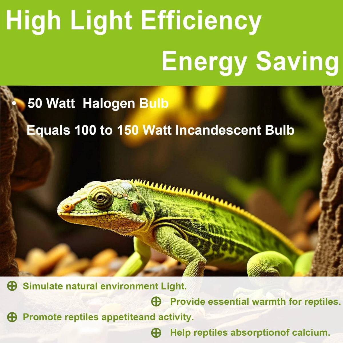 YEGRUEB UVB UVA Reptile Light Bulb 50W for Reptiles and Warm White