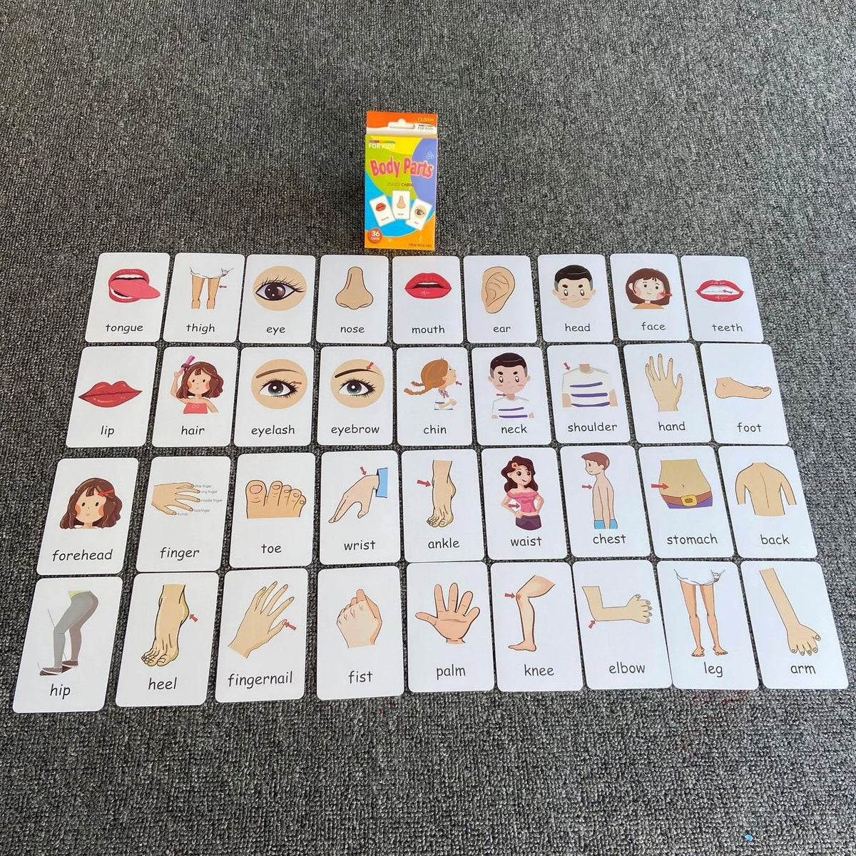 Flash Cards for Toddlers, Educational Learning Set of pocket-size, Orange