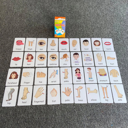 Flash Cards for Toddlers, Educational Learning Set of pocket-size, Orange