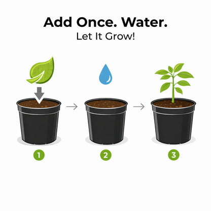 Real Growers Grow Dots Classic 75g – Single Application Programmed