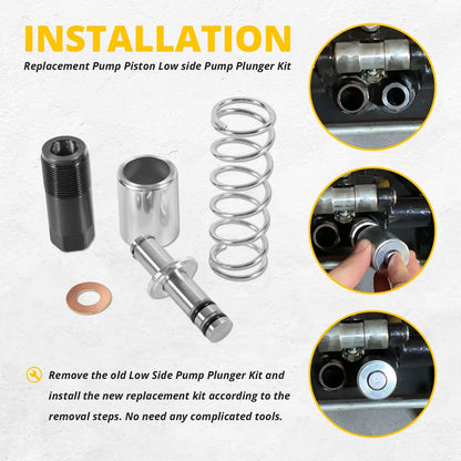 Replacement Pump Piston Low Side Plunger Kit- Smaller One - Fit for...