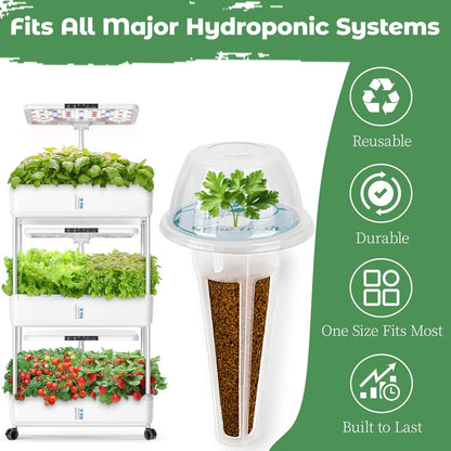Herb Seed Pods Kit Hydroponic -12 Refill Grow with Classic Herbs