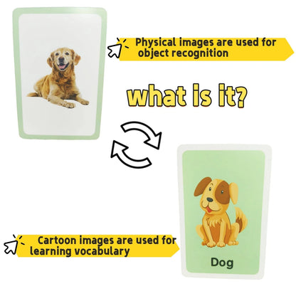 Flash Cards for Toddlers, Educational Learning Set of pocket-size, Orange