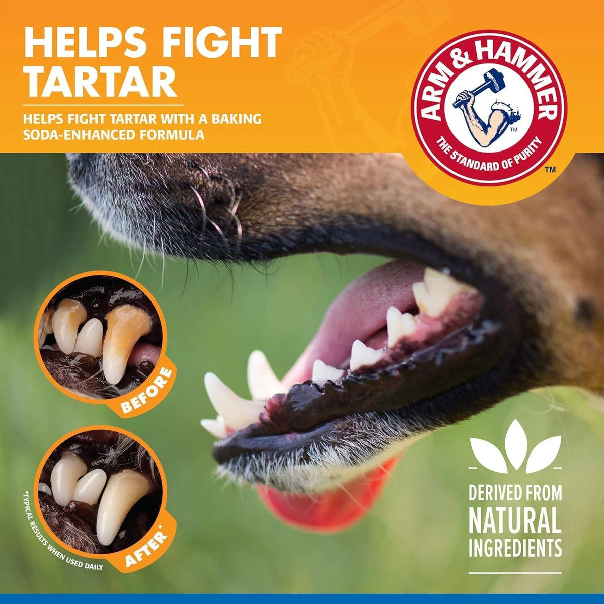 Arm & Hammer Clinical Care Dental Rinse for Adult Dogs, 16 Fl Oz (Pack of 2)