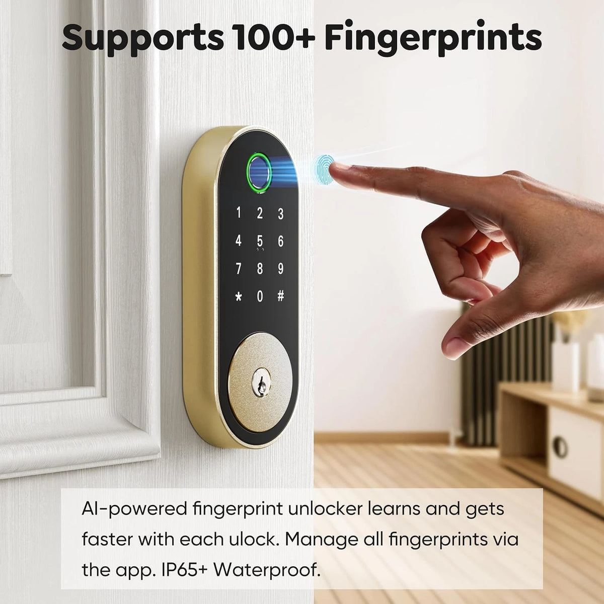 Fingerprint Smart Deadbolt with Keypad – Keyless Entry Standard, Bright Brass