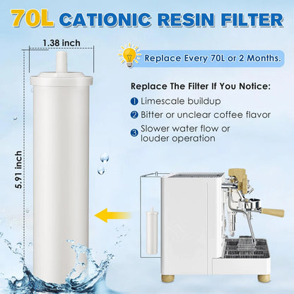 Naucoos 70L Cationic Resin Filter Compatible 6.69 x 1.97 x inches, White